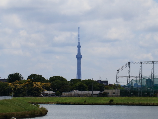 写真：ひまわり荘の近隣情報 中川